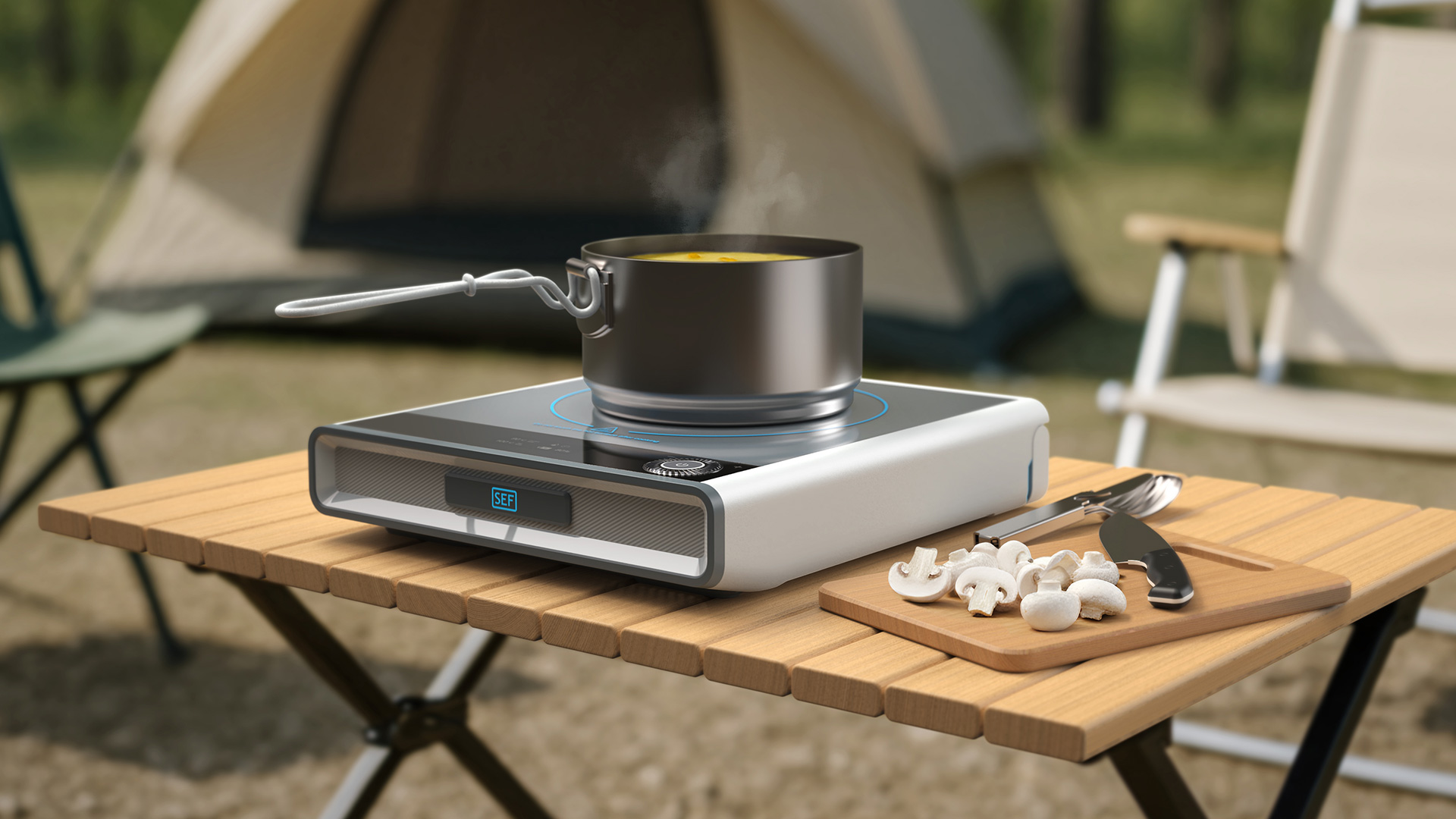 sef induction cooker